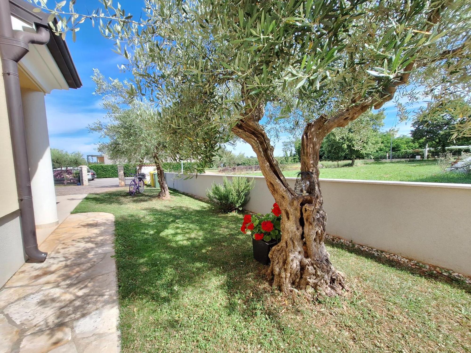 Apartmani Berber Babici Extérieur photo